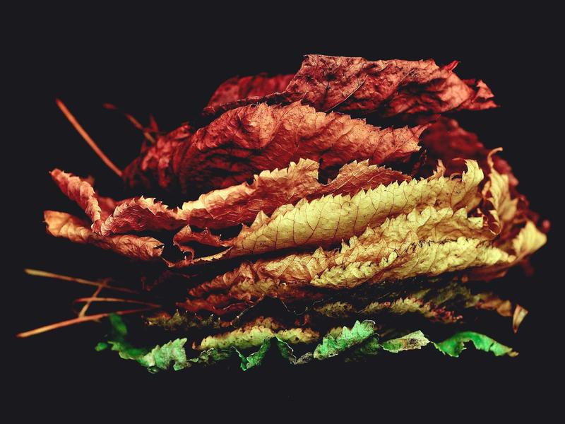 寺庙入职<br>kclfxfu.cn 扫地僧招聘启事